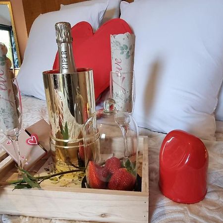 Le Palmier De La Paix Bed and Breakfast Le Tampon Εξωτερικό φωτογραφία