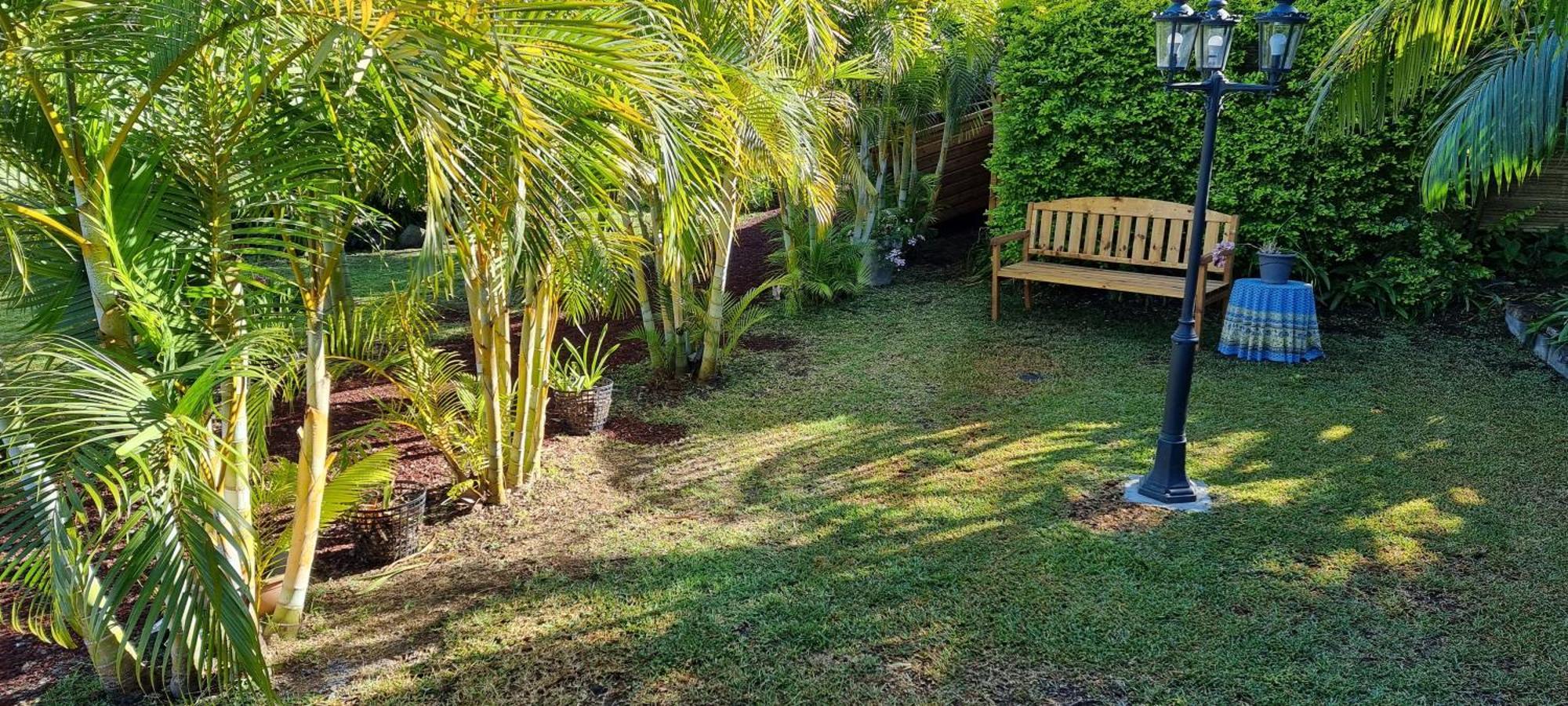 Le Palmier De La Paix Bed and Breakfast Le Tampon Εξωτερικό φωτογραφία